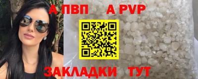 гидра Будённовск