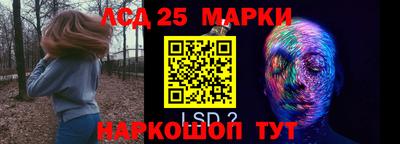гидра Будённовск