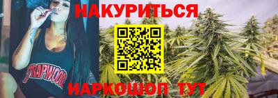 гидра Будённовск