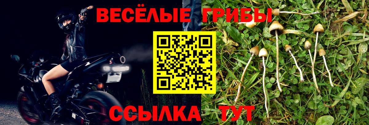 Псилоцибиновые грибы MAGIC MUSHROOMS Котлас