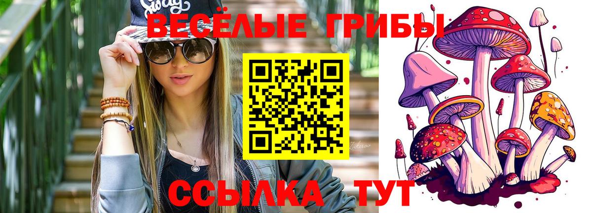 Котлас  Псилоцибиновые грибы мухоморы  Вход с VPN 